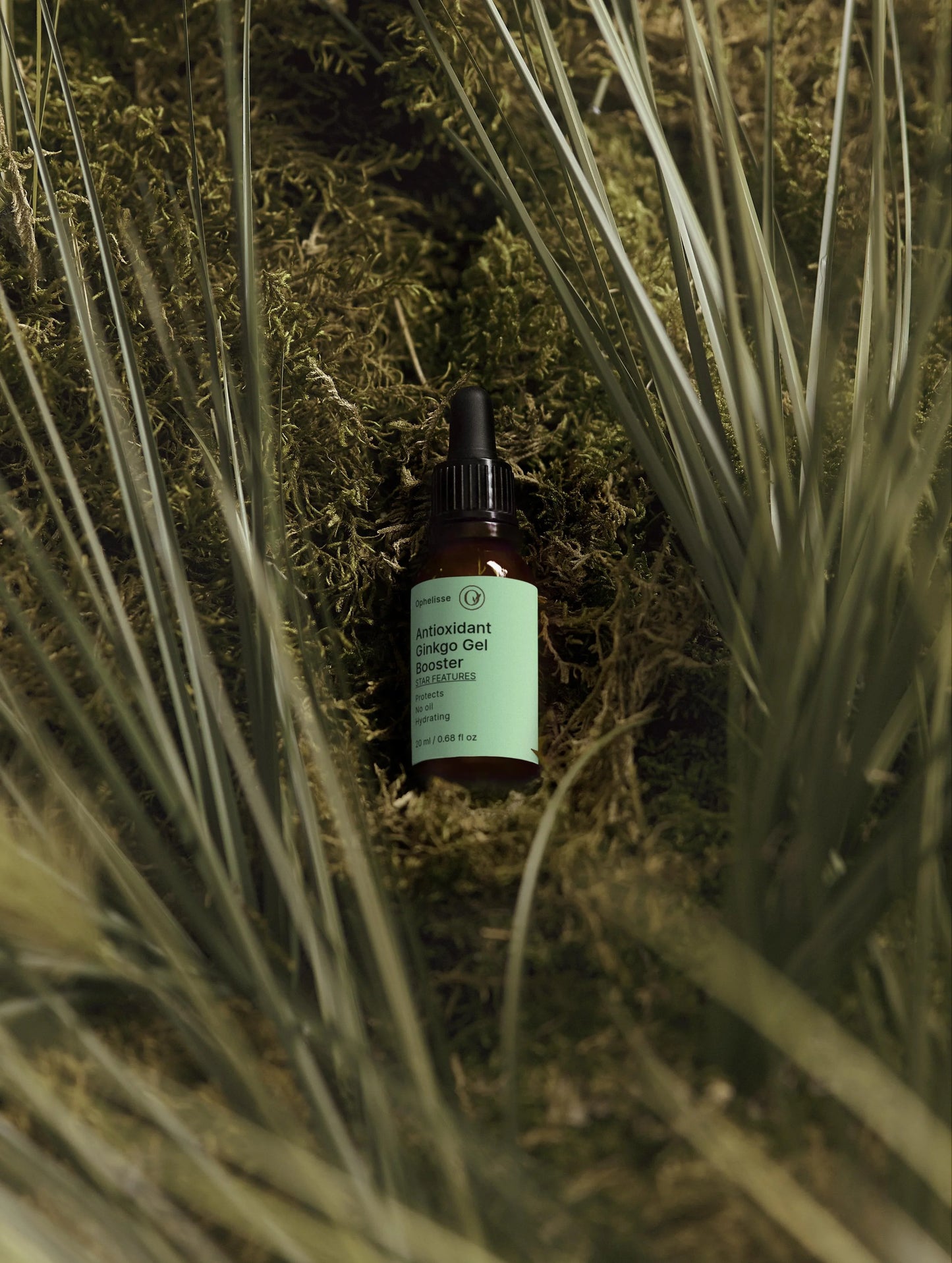 Antioxidant Ginkgo Gel Booster