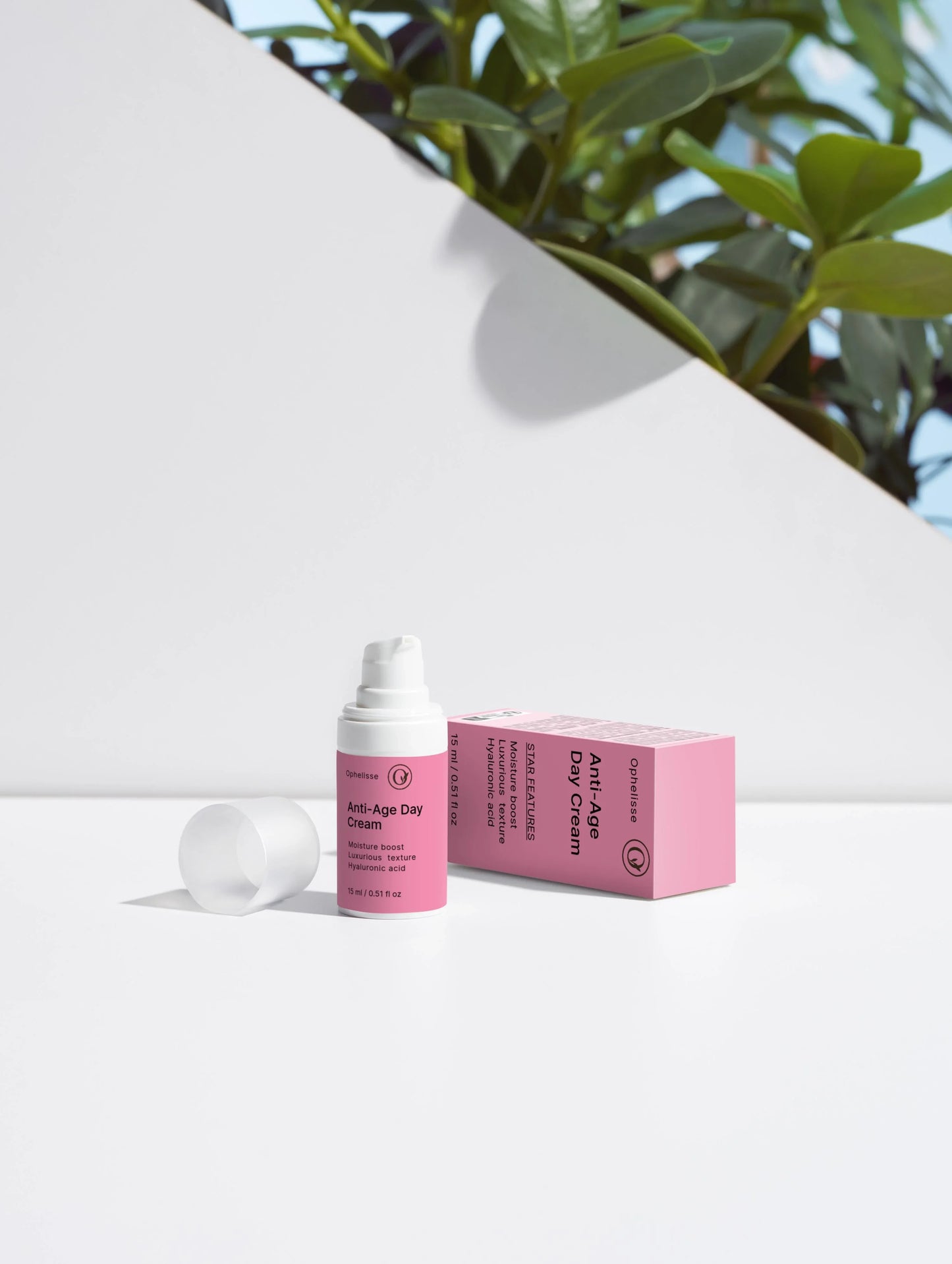 Timeless Radiance Collection Box