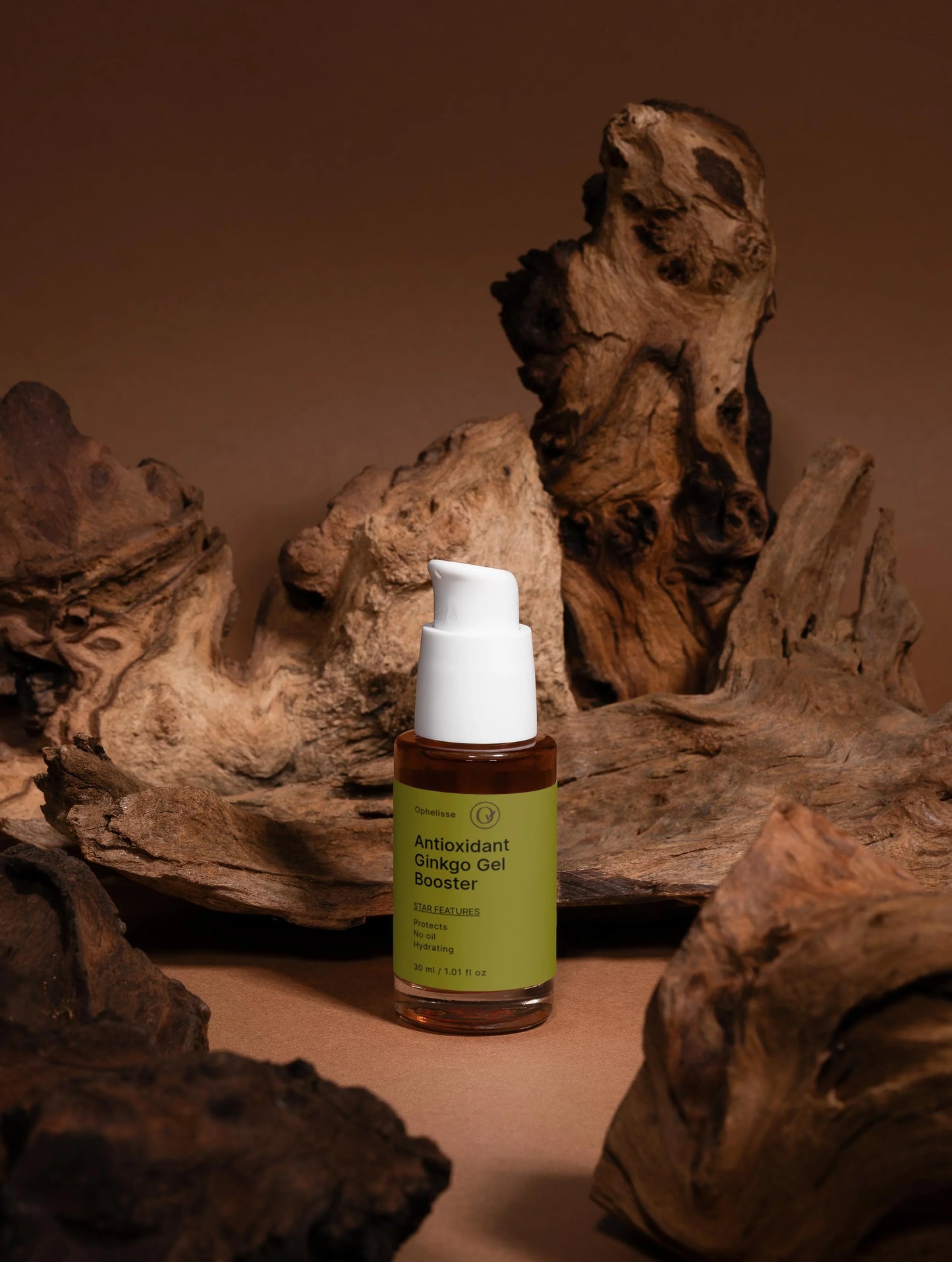Antioxidant Ginkgo Gel Booster
