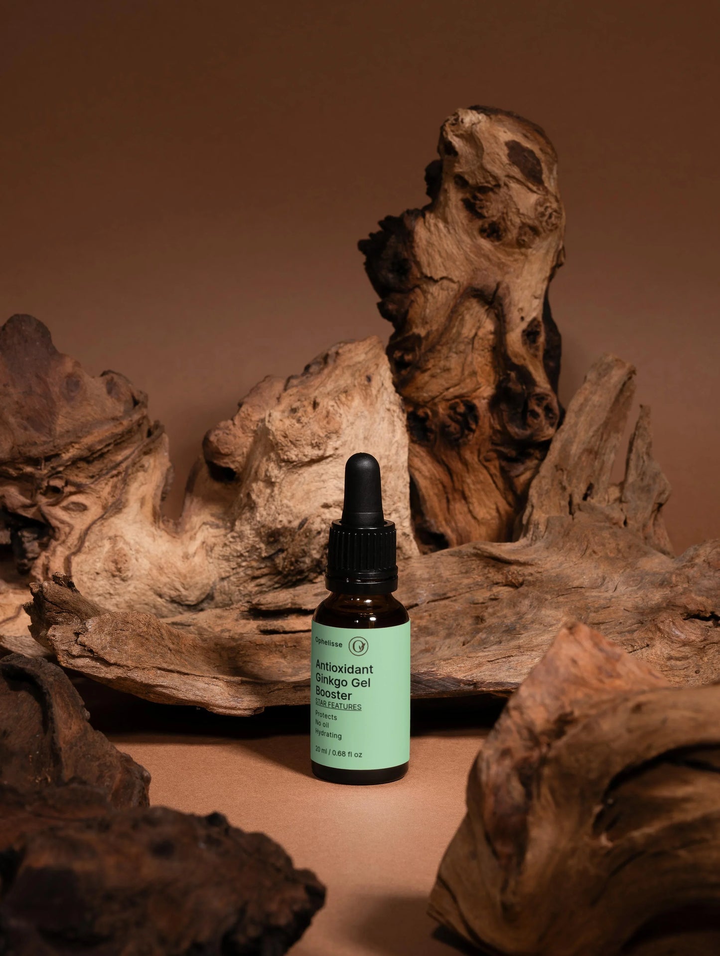 Antioxidant Ginkgo Gel Booster